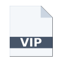 .VIP icon